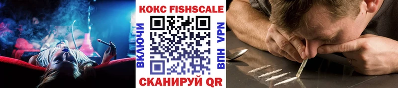 MEGA как войти Эртиль Кокаин Fish Scale