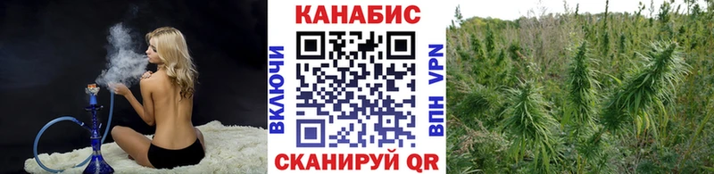 Конопля OG Kush  это клад  Эртиль 